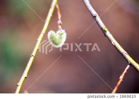 Spring swing Ⅱ 1669810