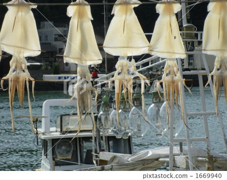 隔夜魷魚乾 隔夜魷魚乾 1669940