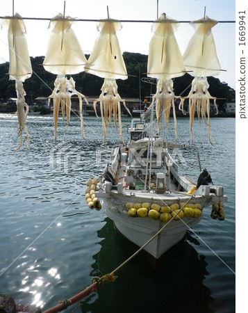 Overnight dried squid 2 1669941