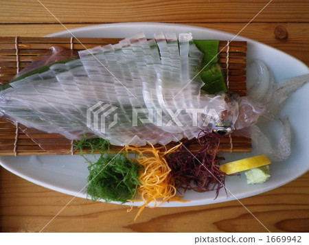 Squid's living construction 1669942