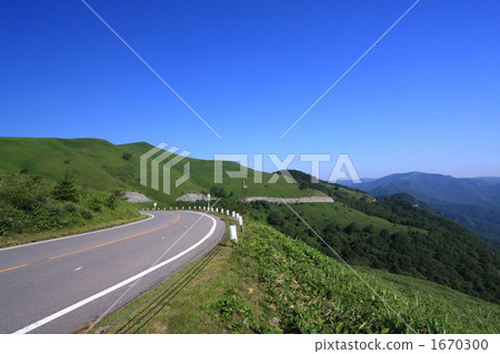 Venus Line's Summer 1670300