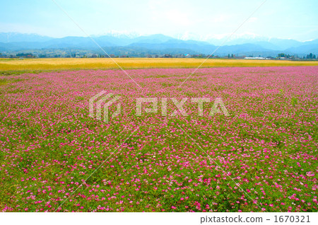 Mountains and fields colored in three colors 1670321