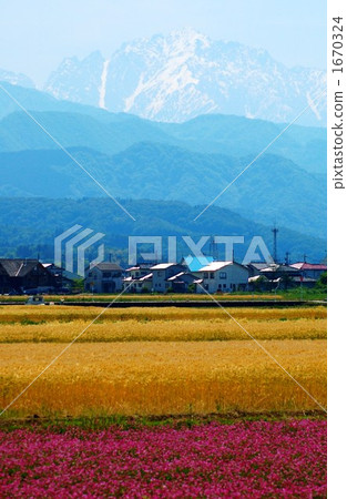 Mountains and fields colored in three colors Mountains and fields colored in three colors 1670324