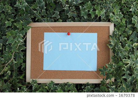 Blue paper cork board Ivy ① Blue paper cork board Ivy ① 1670378