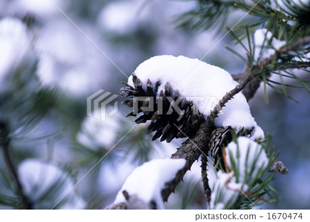 Songless ice snow cover Ⅱ 1670474