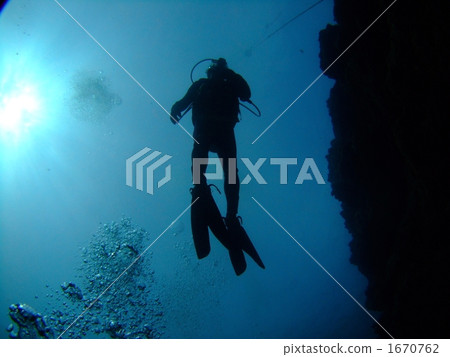 Diver 1670762