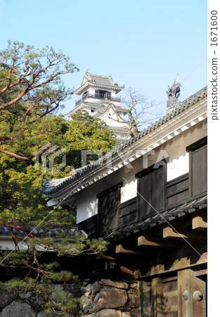 kochi castle, castle, castles 1671600