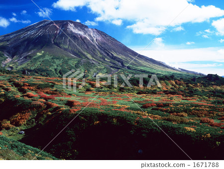 Autumn leaves Ⅱ of Asahidake 1671788