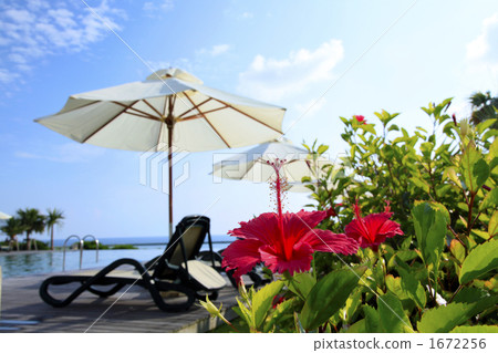 Vacation 1672256