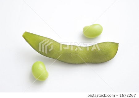 Edamame 1672267