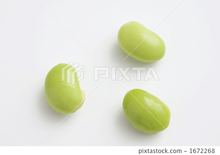 Edamame 1672268