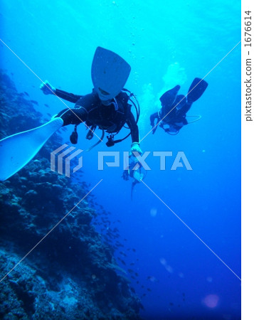 scuba diving, scuba dive, person 1676614