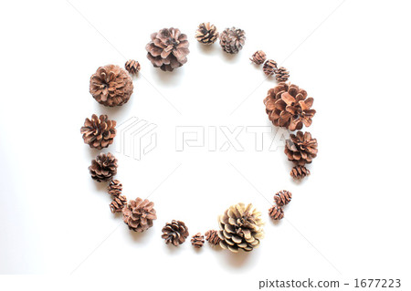 Pine cone frame 1677223
