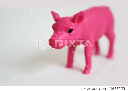 Pink pig Pink pig 1677553