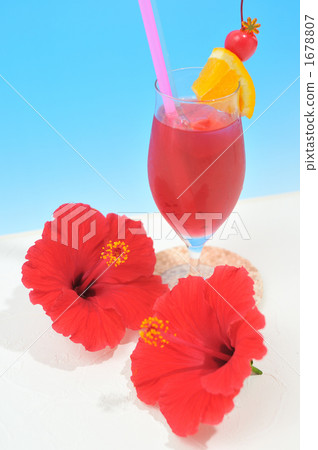 Tropical style tropical drink, cold hibiscus tea. 1678807