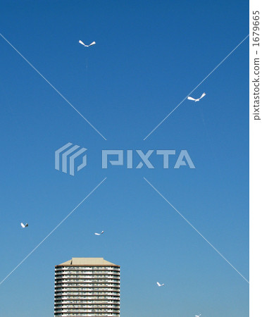 Bird type kite 1679665