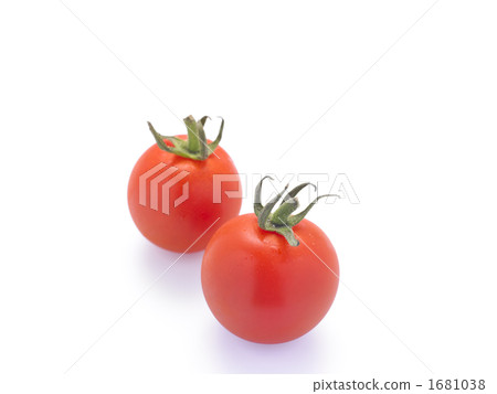  Mini Tomato 1681038