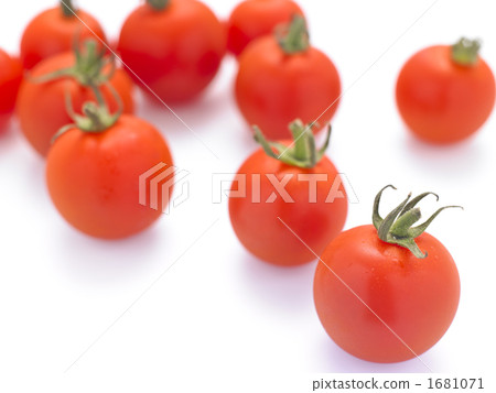 櫻桃西紅柿 櫻桃西紅柿 1681071