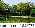 Scenery of Japanese garden 1682775