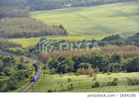 field, train, trains 1684286