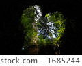 Heart mark with Wilson shares in Yakushima 1685244