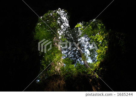 Heart mark with Wilson shares in Yakushima 1685244