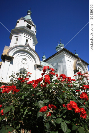 Roses and the Christian Orthodox Church 1686093