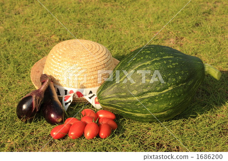 Summer vegetable Summer vegetable 1686200