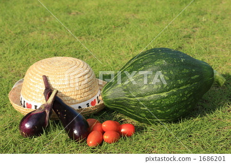 Summer vegetable Summer vegetable 1686201
