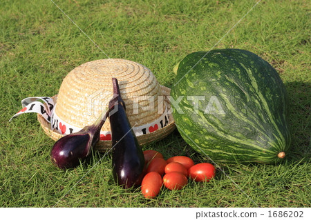 夏季蔬菜 1686202