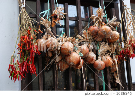 Onion and Capsicum 1686545