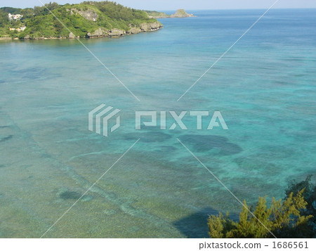 Okinawa coral reef Okinawa coral reef 1686561