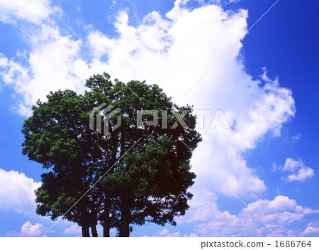 Summer sky Summer sky 1686764
