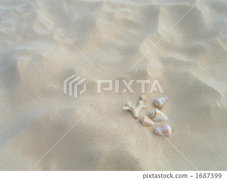 白沙 外殼 殼 1687399