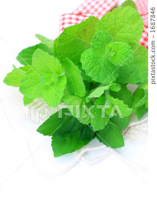 Mint bouquet 1687846