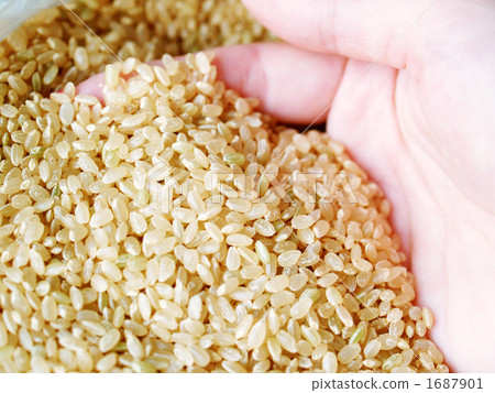 Brown rice 09 1687901