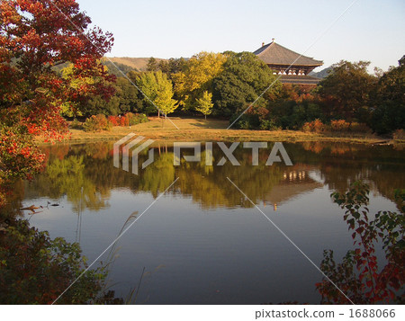 Todaiji寺廟在秋天 1688066