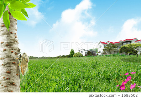 蟬 蝗蟲 房屋 1688502