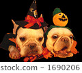 Doggie Halloween Party 02 1690206