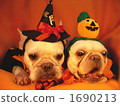 Doggie Halloween Party 03 1690213
