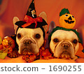 Doggie Halloween Party 09 1690255