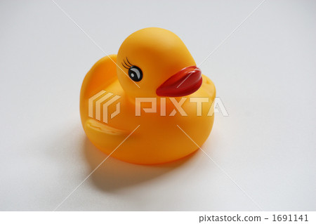 Duck toys 1691141