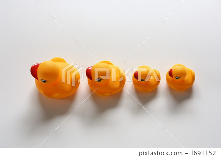 鴨子的家人 1691152