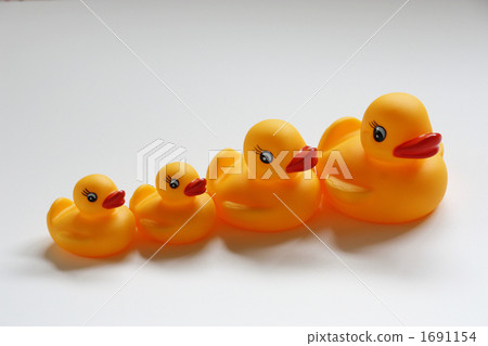 Duck's family 1691154