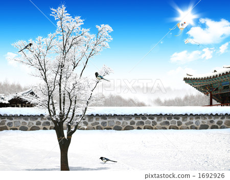 白雪皚皚 雪景 樹木 1692926