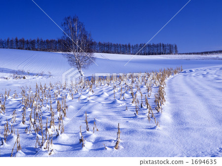 Towards the snowy field Ⅱ 1694635