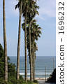 棕櫚樹 風景 波浪 1696232