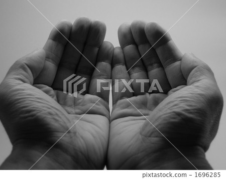 hands, Both Hands, body parts 1696285