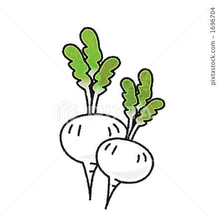 蕪菁 蕪菁 1696704