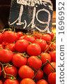 Tomato Tomato 1696952